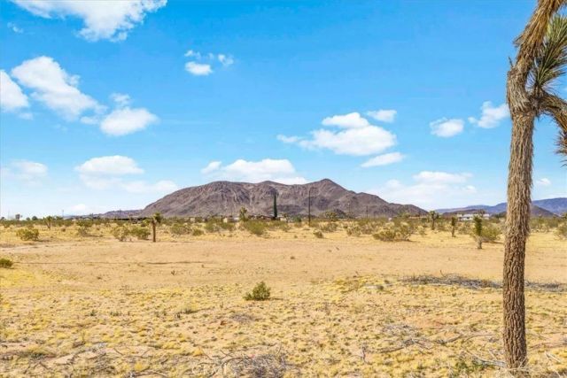 59724 Stearman Road, Landers, CA 92285