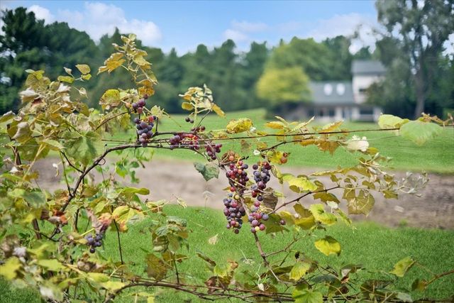 12266 North Grove Road, Sycamore, IL 60178