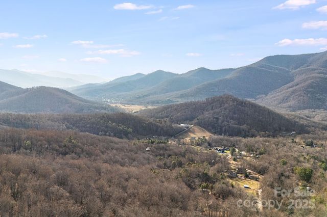 99999 Walker Mountain Lane, Black Mountain, NC 28711