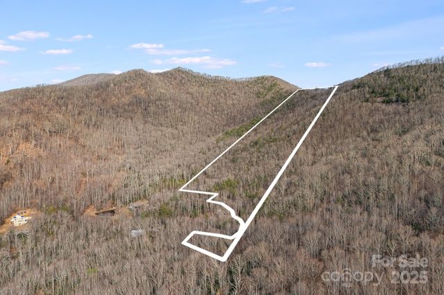 99999 Walker Mountain Lane, Black Mountain, NC 28711