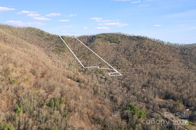 99999 Walker Mountain Lane, Black Mountain, NC 28711