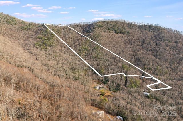 99999 Walker Mountain Lane, Black Mountain, NC 28711