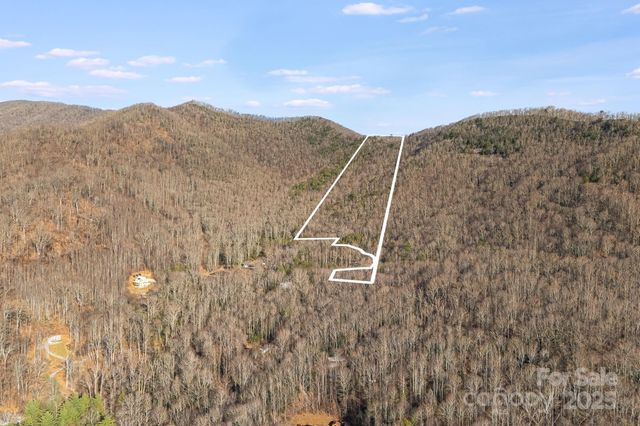 99999 Walker Mountain Lane, Black Mountain, NC 28711