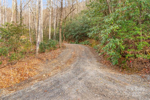 99999 Walker Mountain Lane, Black Mountain, NC 28711