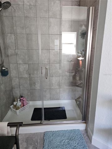 14438 SCOTTBURGH GLEN DRIVE, Wimauma, FL 33598