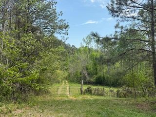 00 Halls Chapel Road, Crandall, GA 30711