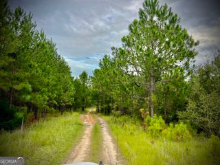 1179 Hall Road, Dublin, GA 31021
