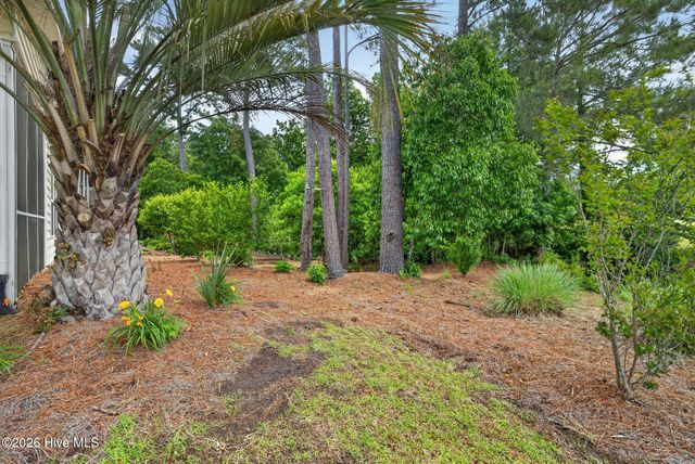 100 Painted Bunting Court, Hampstead, NC 28443