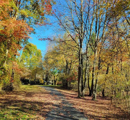 78718 Pearl Drive, Bruce Twp, MI 48065