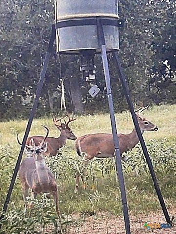 295 Goetz Rd, Cameron, TX 76520
