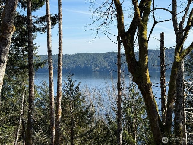 63 Devereaux Drive, Lilliwaup, WA 98555