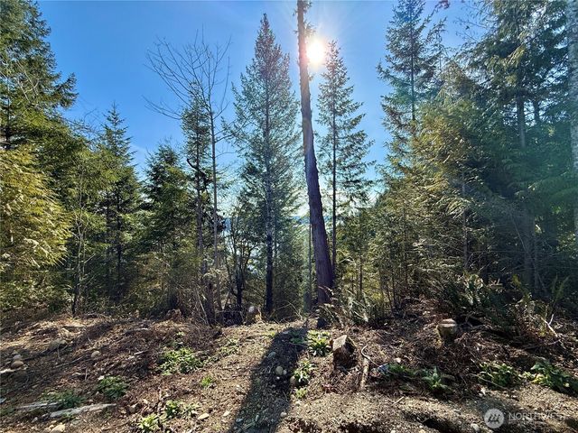 63 Devereaux Drive, Lilliwaup, WA 98555