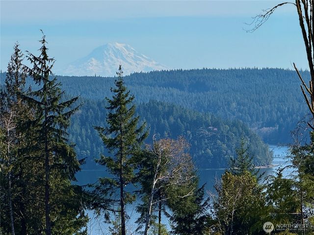 63 Devereaux Drive, Lilliwaup, WA 98555