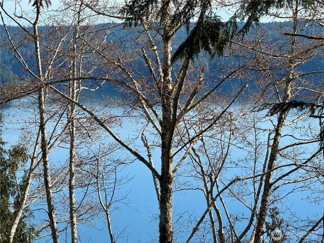 63 Devereaux Drive, Lilliwaup, WA 98555