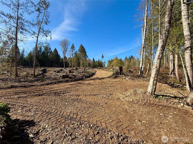 63 Devereaux Drive, Lilliwaup, WA 98555