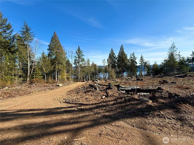 63 Devereaux Drive, Lilliwaup, WA 98555