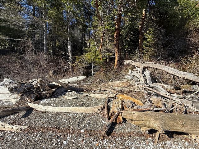 63 Devereaux Drive, Lilliwaup, WA 98555