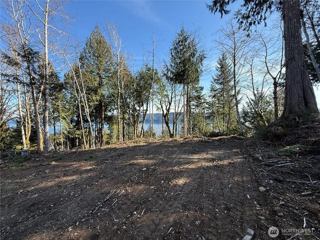 63 Devereaux Drive, Lilliwaup, WA 98555