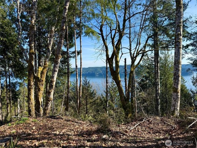 63 Devereaux Drive, Lilliwaup, WA 98555