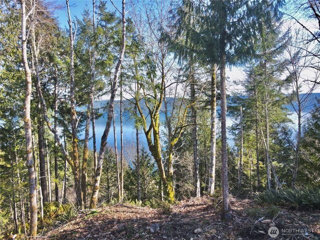 63 Devereaux Drive, Lilliwaup, WA 98555