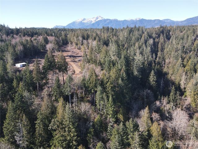 63 Devereaux Drive, Lilliwaup, WA 98555