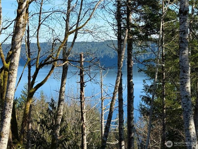 63 Devereaux Drive, Lilliwaup, WA 98555