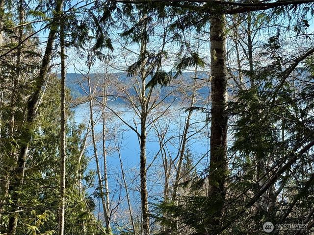 63 Devereaux Drive, Lilliwaup, WA 98555