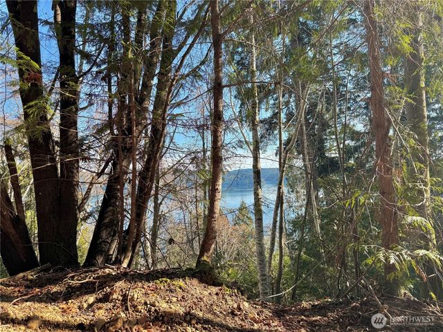 63 Devereaux Drive, Lilliwaup, WA 98555