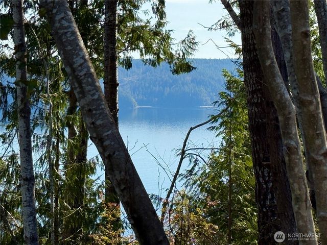 63 Devereaux Drive, Lilliwaup, WA 98555