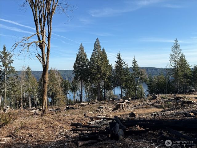 63 Devereaux Drive, Lilliwaup, WA 98555