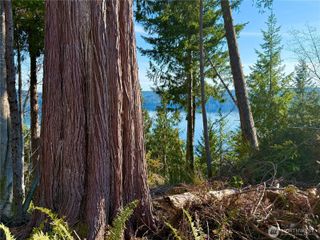 63 Devereaux Drive, Lilliwaup, WA 98555