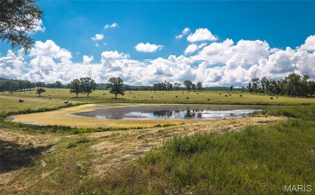 10555 Pashia Road, Potosi, MO 63664