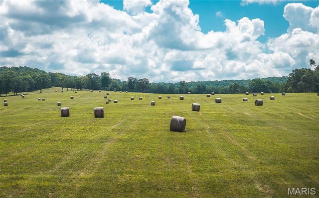 10555 Pashia Road, Potosi, MO 63664