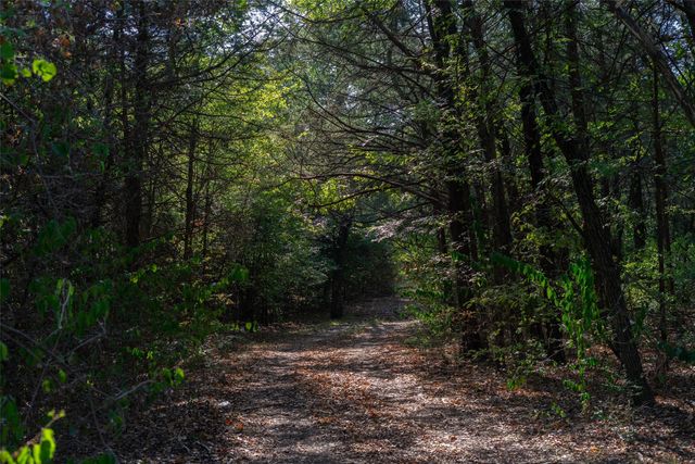 5 Acres +- S Faye Lane, Whitesboro, TX 76273
