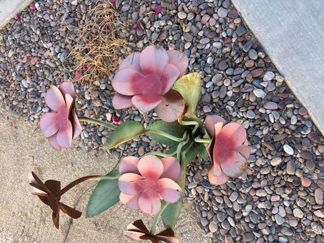 84136 Ave 44, 619 619, Indio, CA 92203