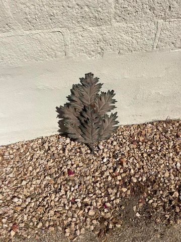 84136 Ave 44, 619 619, Indio, CA 92203