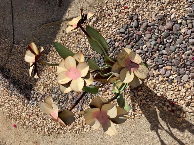 84136 Ave 44, 619 619, Indio, CA 92203