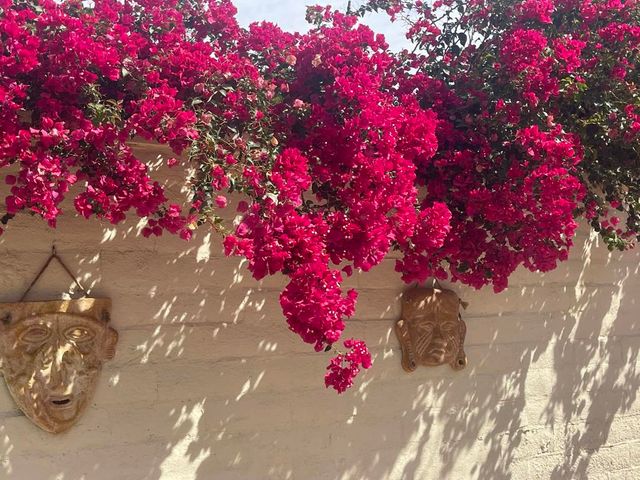 84136 Ave 44, 619 619, Indio, CA 92203