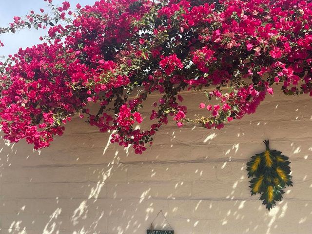 84136 Ave 44, 619 619, Indio, CA 92203