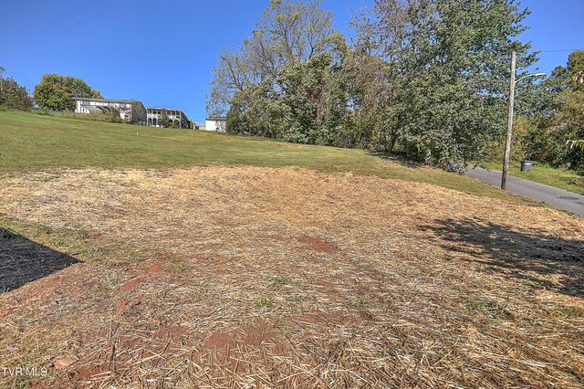 1302 Camelia Avenue, Kingsport, TN 37660