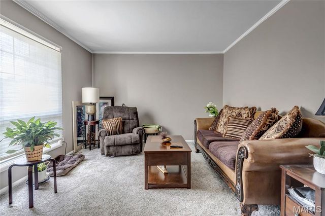 1730 Parktree Lane, St Louis, MO 63138