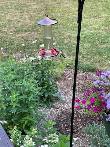 358 Cowdrey Path, Woodstock, VT 05071