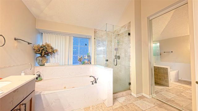 17215 S Bristle Pine Drive, Spring, TX 77379