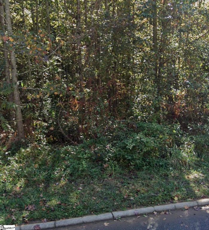 19 Daughtry Court, Travelers Rest, SC 29690