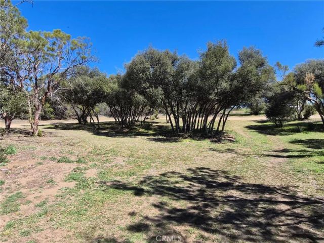 38295 Indian, Anza, CA 92539