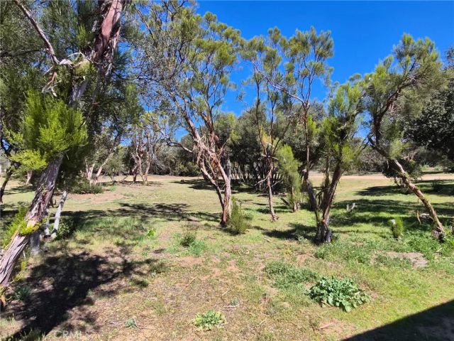 38295 Indian, Anza, CA 92539