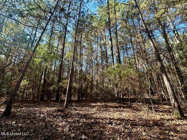 0 Saucier Fairley Road, Saucier, MS 39574