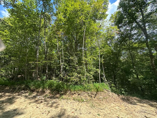 424-Tract 6 W 577 Highway, Manchester, KY 40962
