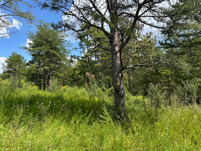 424-Tract 6 W 577 Highway, Manchester, KY 40962