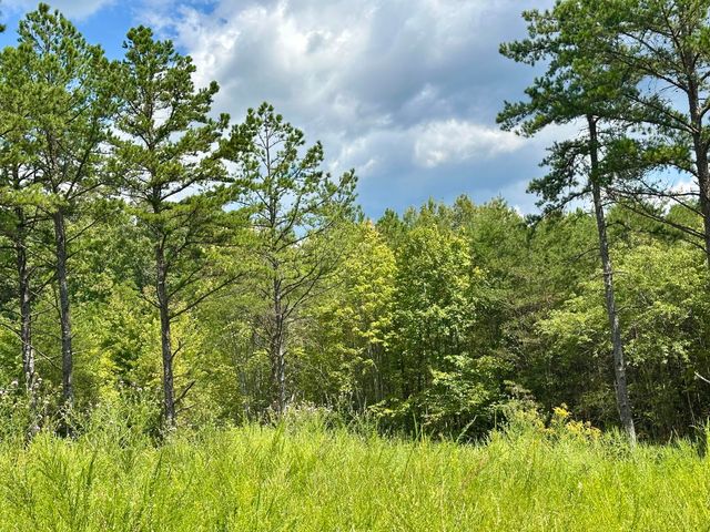 424-Tract 6 W 577 Highway, Manchester, KY 40962
